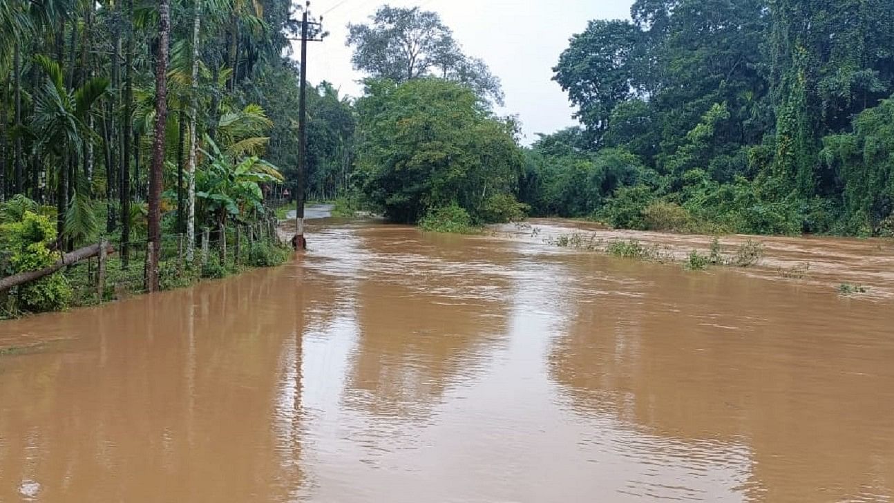 <div class="paragraphs"><p>Road at Teppadagundi remained under water following heavy rainfall.</p></div>